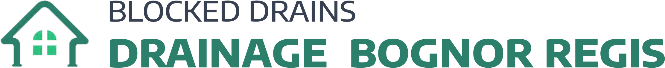website logo